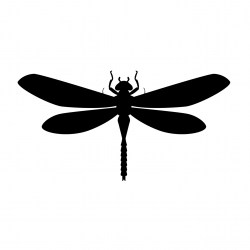 Libellula (1)